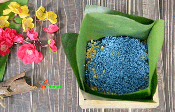 hoa đậu biếc